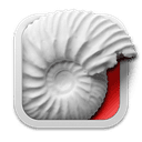 Ammonite