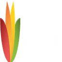 FreeOffice